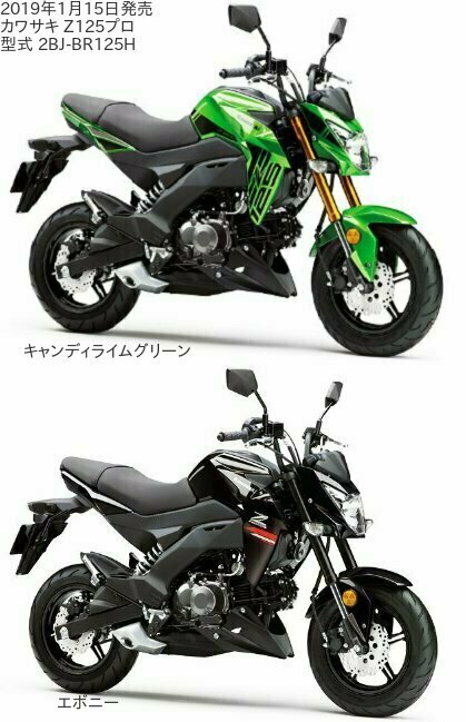 カワサキ Z125プロの口コミ・インプレ